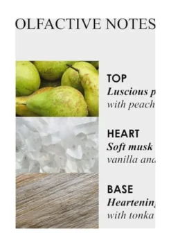 MOLTON BROWN Milk Musk Bath & Shower Gel 300ml -Günstiges Pflegesets Geschäft unnamed file 187