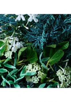 MOLTON BROWN Delicious Rhubarb & Rose Edle Handseife -Günstiges Pflegesets Geschäft unnamed file 576