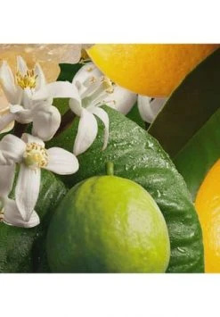 MOLTON BROWN Orange & Bergamot Handcreme 40ml -Günstiges Pflegesets Geschäft unnamed file 589