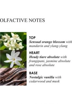 MOLTON BROWN HAND CARE Flora Luminare Hand Lotion 300ml -Günstiges Pflegesets Geschäft unnamed file 592