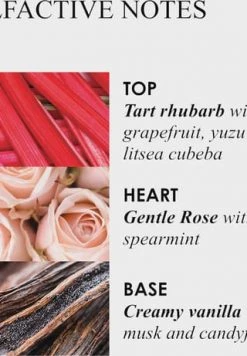 MOLTON BROWN HAND CARE Delicious Rhubarb & Rose Hand Sanitiser Gel 100ml 11 MOLTON BROWN HAND CARE Delicious Rhubarb & Rose Hand Sanitiser Gel 100ml -Günstiges Pflegesets Geschäft unnamed file 602