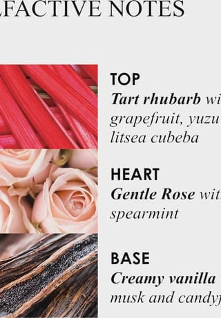 MOLTON BROWN HAND CARE Delicious Rhubarb & Rose Hand Sanitiser Gel 100ml 6 MOLTON BROWN HAND CARE Delicious Rhubarb & Rose Hand Sanitiser Gel 100ml – Bild 6