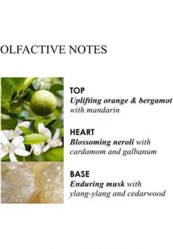 MOLTON BROWN Orange & Bergamot, Handgel 100.0 ML -Günstiges Pflegesets Geschäft unnamed file 606